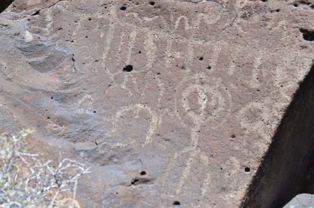 Petroglyphs, probably around 5000 years old, just a few steps down the trail from our lunch stop.