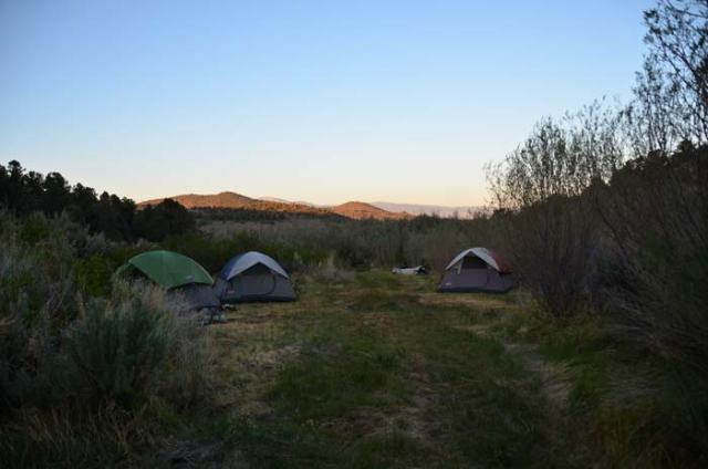A section of the camp site. My tent was the green one on the left.